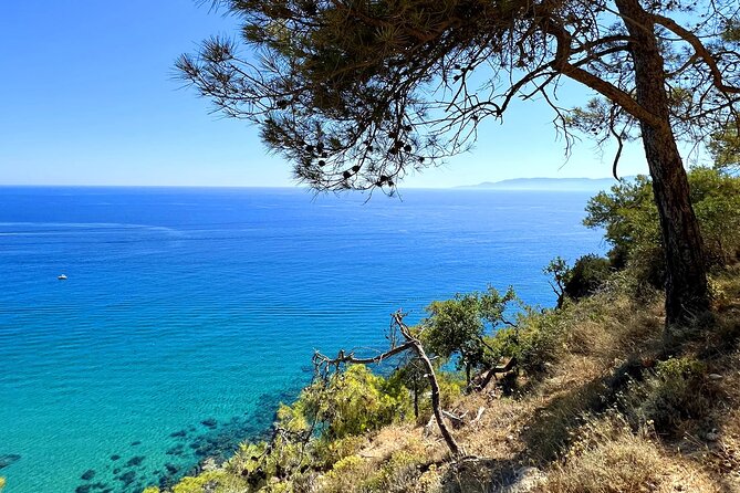 Paphos: Akamas Gorge & Turtle Bay & Donkey Farm Jeep Safari Tour - Avakas Gorge: where the adventure is real (and footwear matters)