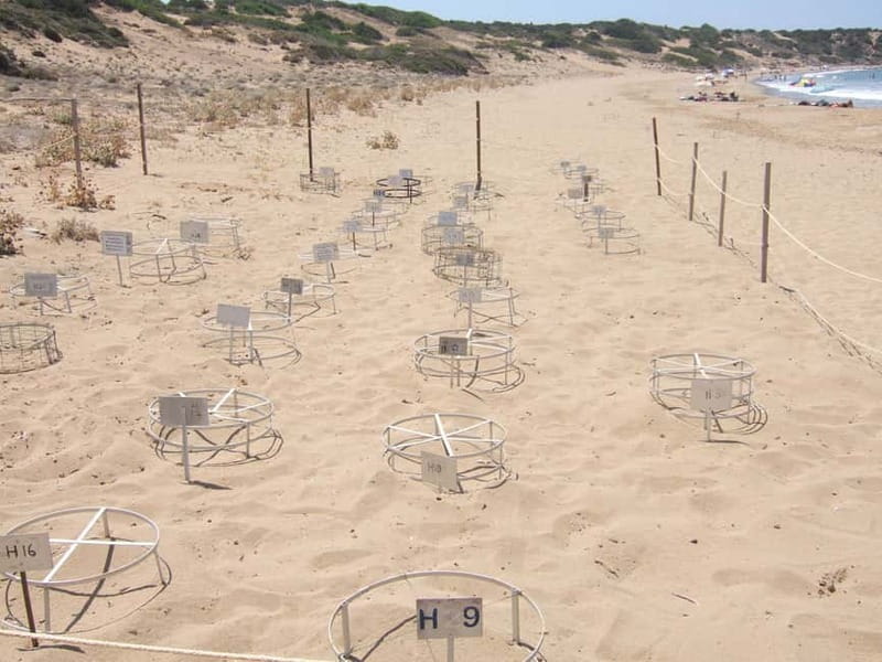 Paphos: Land Rover Jeep Safari Coastal Tour and Blue Lagoon - Latchi lunch break, Aphrodite’s Baths, and winery views