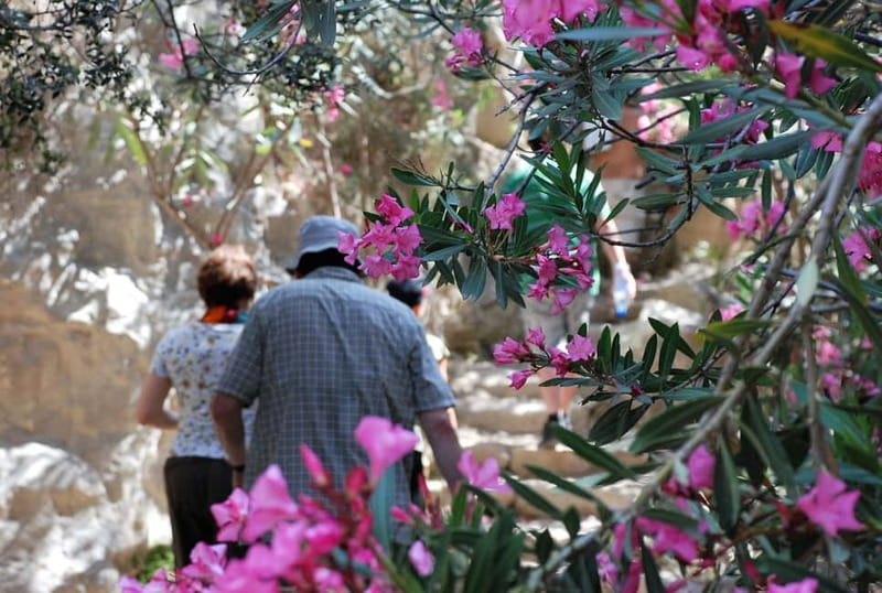 Paphos: Land Rover Jeep Safari Coastal Tour and Blue Lagoon - Blue Lagoon swimming: your hour to cool off