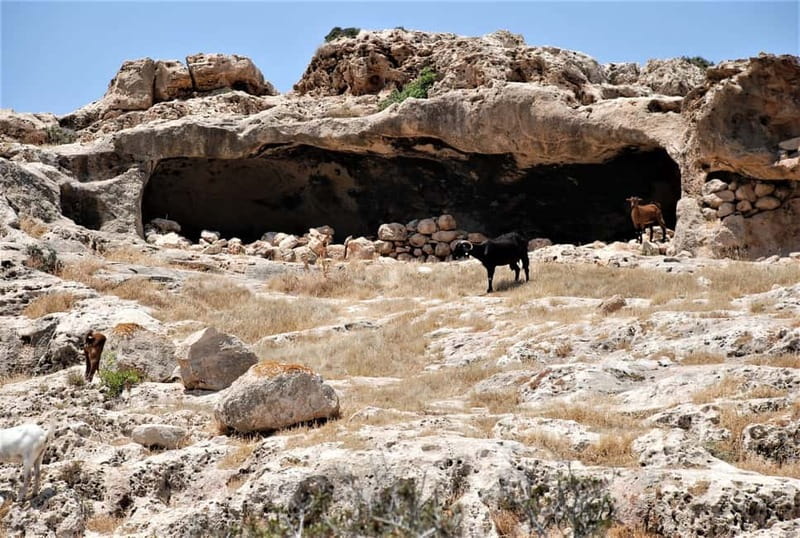 Paphos: Land Rover Jeep Safari Coastal Tour and Blue Lagoon - Who should book Hilde Jeep Safari Ltd’s Paphos coastal tour
