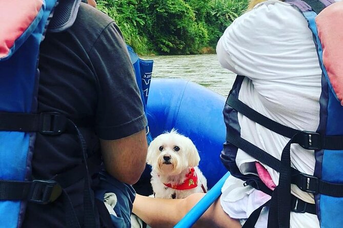 Peñas Blancas River: Wildlife Safari Experience by Raft - From La Fortuna to La Perla: the simple, round-trip setup