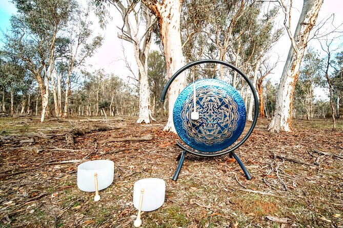 Perth Wildlife Tour Under the Stars with Dinner - Picnic dinner in the forest: BBQ comfort with real downtime