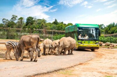 Phu Quoc: Vinpearl Safari Park Entry Ticket - Entering Vinpearl Safari: Easy Redemption, No Hotel Pickup