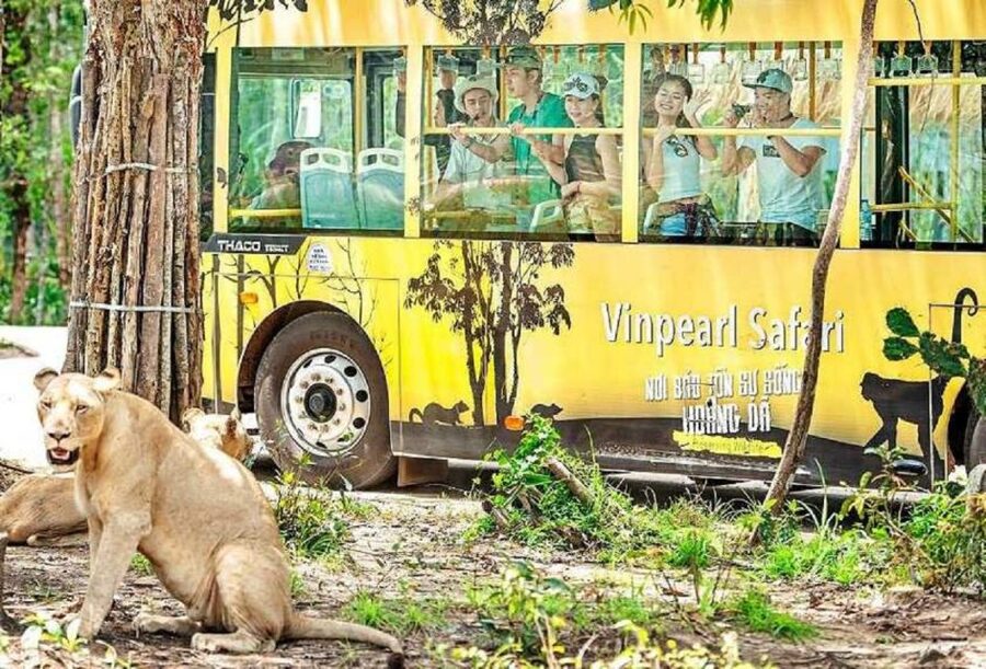 Phu Quoc: Vinpearl Safari Park Entry Ticket - The “Enclosed While Animals Roam” Safari Feeling