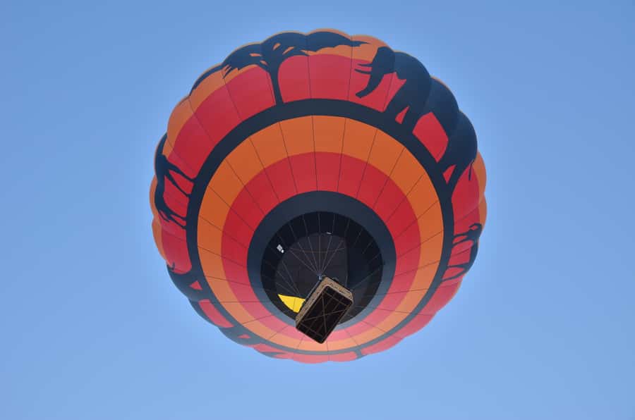 Pilanesberg National Park/Sun City Hot Air Balloon Safari - Key points to know before you go