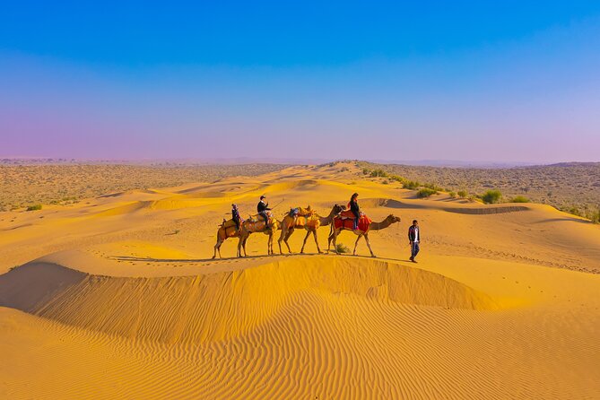 Pleasant Non-Touristic Overnight Camel Safari (From 2:00 PM to Approx. 10:30AM) - Key things I’d bank on (before you book)