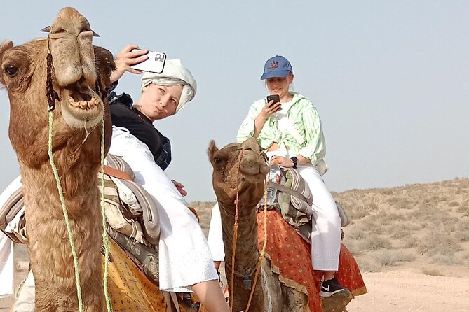 Pleasant Non-Touristic Overnight Camel Safari (From 2:00 PM to Approx. 10:30AM) - Price and what $40 actually gets you in Jaisalmer