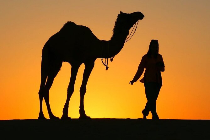 Pleasant Sunset Safari With Dinner On Dunes (From 2:00 PM to Approx. 10:00 PM) - Key things I’d plan for before you go