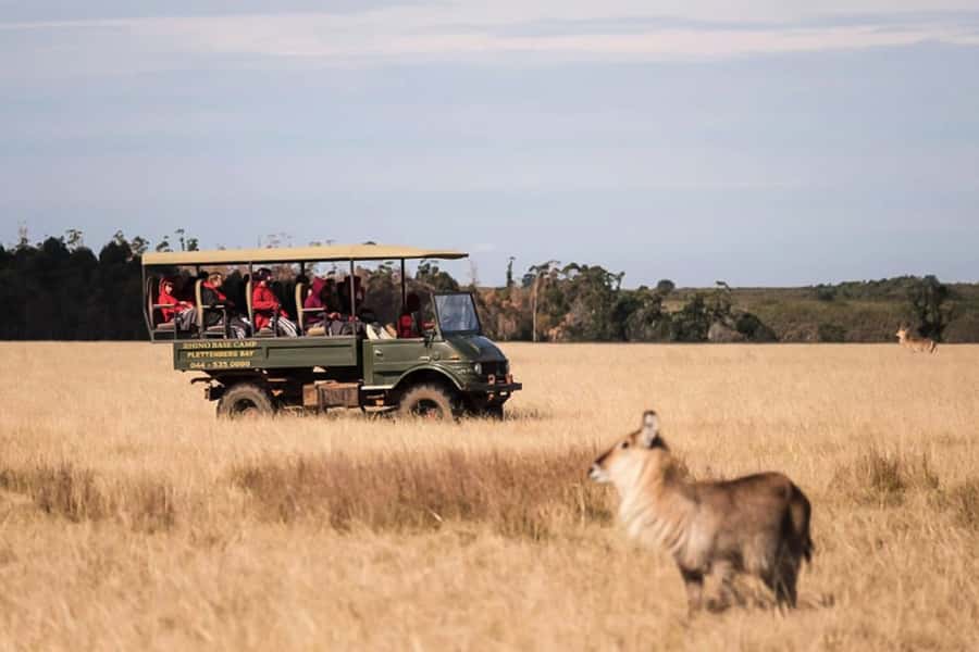 Plettenberg Bay Game Reserve: 2-Hour Game Drive - Entering the Plettenberg Bay Game Reserve Safari Center