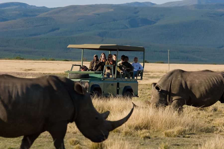 Plettenberg Bay Game Reserve: 2-Hour Game Drive - What you can realistically spot in the reserve