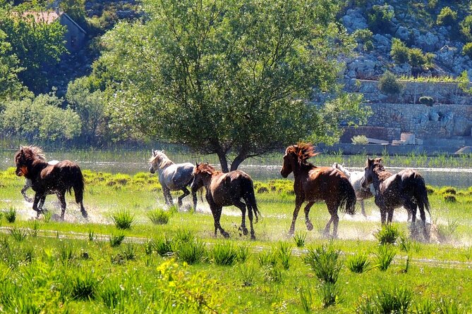 Podgorica Historic, Safari and Winery tour - Skadar lake and River Crnojevica - Rijeka Crnojevica: Fisherman Village Atmosphere and the Old Settlement Feel