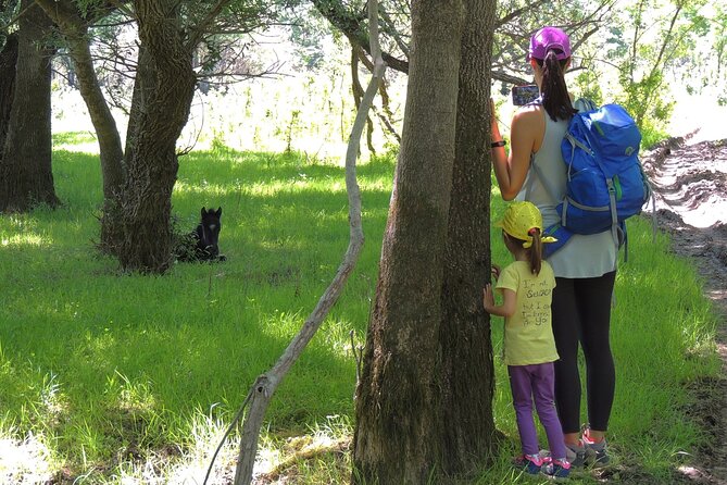 Podgorica Historic, Safari and Winery tour - Skadar lake and River Crnojevica - Žabljak Crnojevića: A Quick Primer on the 15th Century Crnojevići