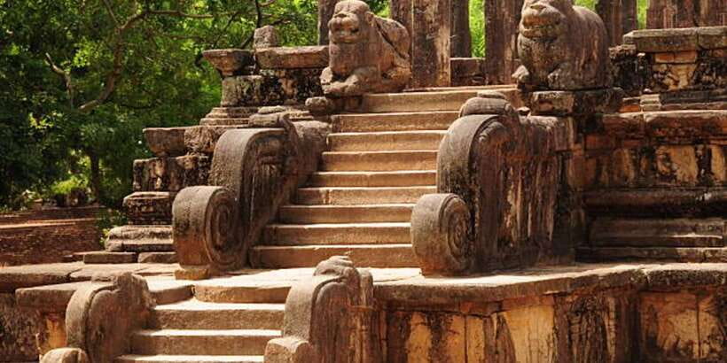Polonnaruwa Day Tour With Minneriya NP Elephant Safari - Lunch Break Choices: How to Eat Well Without Throwing Off the Day