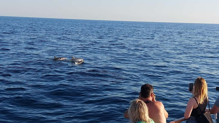 Poreč: Sunset Dolphin Safari with Dinner and Drinks - Setting off from Poreč on Ship Manon