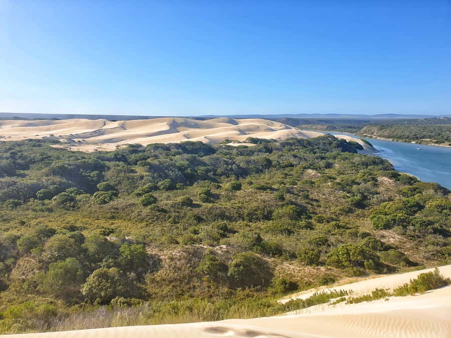 Port Elizabeth: 2-Day Addo Elephant Park Safari - Addo Elephant National Park: where elephants drive the whole experience
