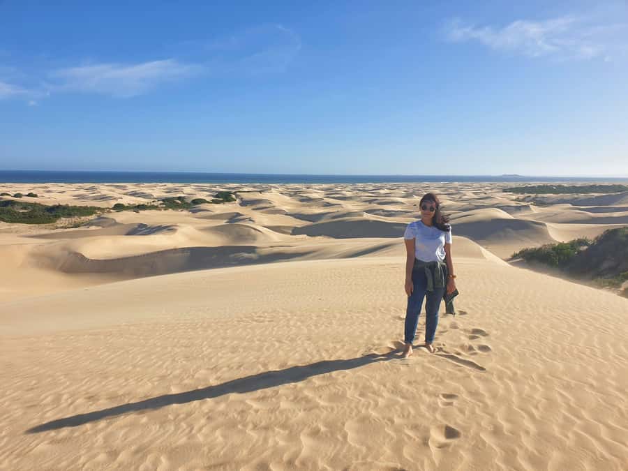 Port Elizabeth: 2-Day Addo Elephant Park Safari - Where you sleep: a 4-star base after a big wildlife day