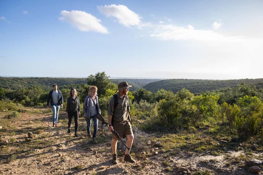 Port Elizabeth: 2-Day Addo Elephant Park Safari - Big Seven conservation and the tiny local specialist you should notice