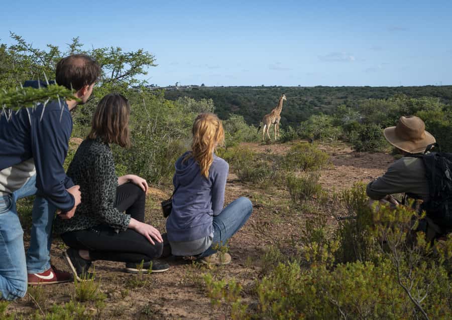 Port Elizabeth: 2-Day Addo Elephant Park Safari - Price and value: is $597 actually fair for what you get?