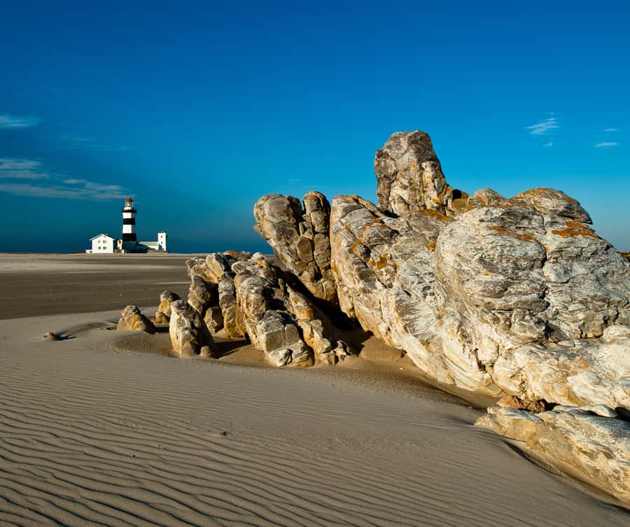Port Elizabeth: 4x4 Wildlife Safari & City Sightseeing Tour - A one-day hit list in Port Elizabeth (Gqeberha)