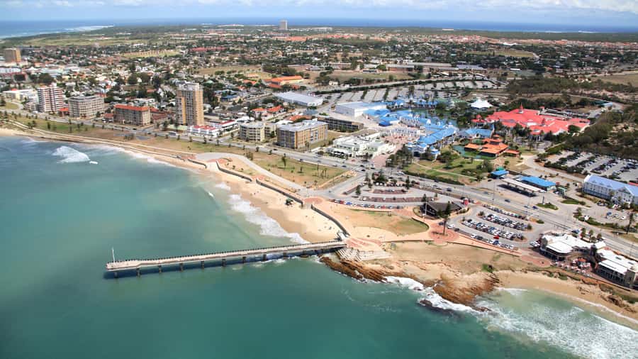 Port Elizabeth: 4x4 Wildlife Safari & City Sightseeing Tour - Timing reality: cruise schedules, waiting, and the guide’s role