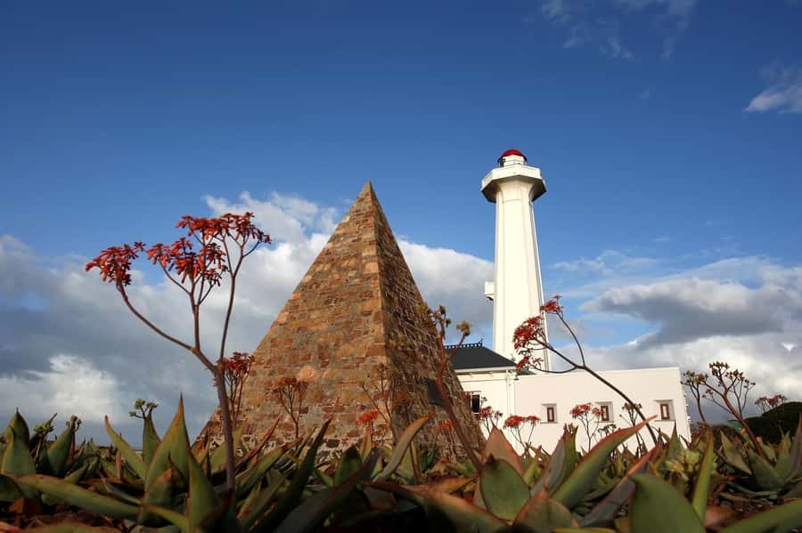 Port Elizabeth: 4x4 Wildlife Safari & City Sightseeing Tour - Wezandla African Craft Market and Donkin’s 1820 story