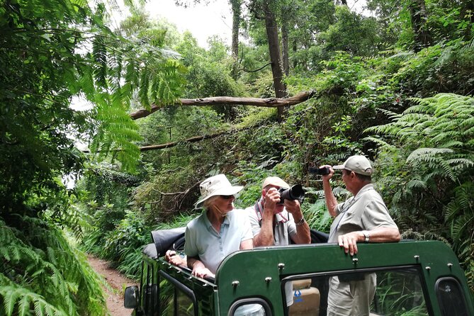 Porto Moniz - Private Full-Day - Safari 4x4 Tour - NorthWest - Start in Funchal: morning with big panoramic energy