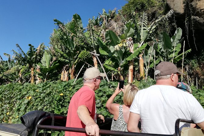 Porto Moniz - Private Full-Day - Safari 4x4 Tour - NorthWest - Porto Moniz: lunch plus the natural pools (and the best break)