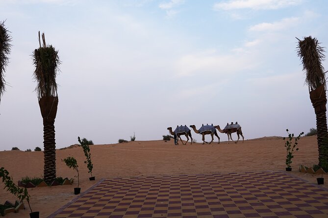 Premium Deluxe Dubai Safari with Camel Ride, Sandboard & BBQ - Camp Time: Camel Ride, Sandboarding, Henna, and More