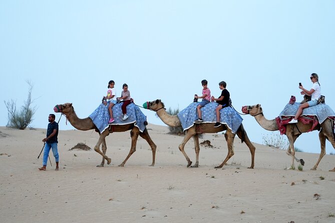 Premium Deluxe Dubai Safari with Camel Ride, Sandboard & BBQ - Live Tanura, Belly Dance, Fire Show, and Live Music Under Starlight