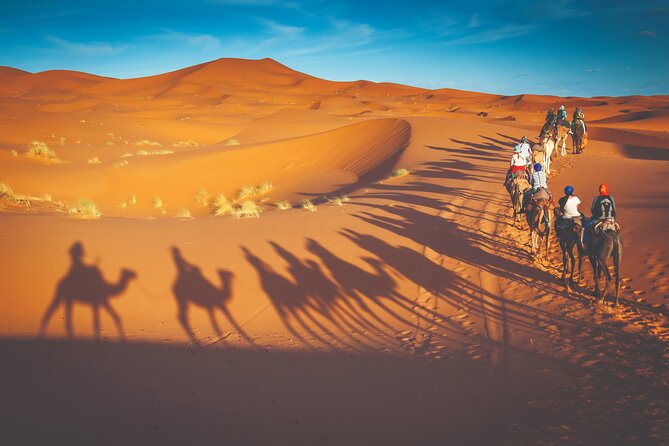 Premium Desert Safari with BBQ Dinner - Dubai - Price and value: what $36.28 really buys you