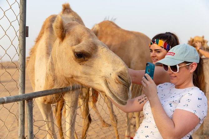 Premium Dubai Desert Safari with BBQ Dinner in the Red Dunes - Desert Camp Night: Henna, Tanoura, Shisha, and Belly Dancing
