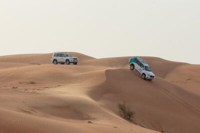 Premium Dubai Desert Safari with BBQ Dinner in the Red Dunes - Lahbab Camel Farm: Close-Up Camels Before the Chaos