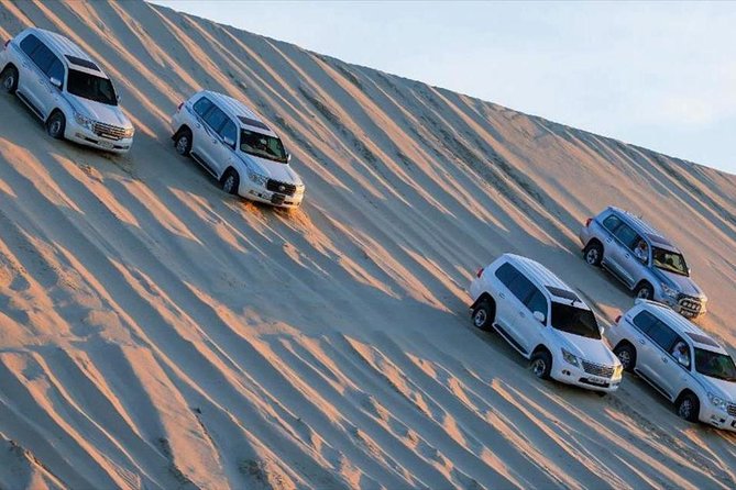 Premium Full-Day Safari, Dune Bash, Camel Ride and BBQ Meal in Desert Camp - Stop 2: Sealine Beach area—camel first, then the dune bash
