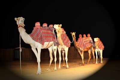 Premium Private Desert Safari with Camel Ride & Live BBQ Dinner - Dune bashing through the red dunes (and that sunset photo stop)