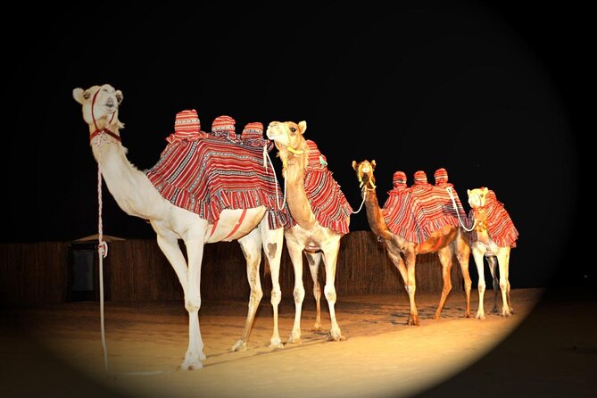 Premium Private Desert Safari with Camel Ride & Live BBQ Dinner - Dune bashing through the red dunes (and that sunset photo stop)