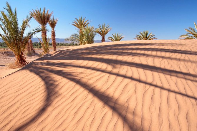 Premium Red Dunes Safari and Camel Safari with BBQ Dinner - Leaving JBR for the Red Desert: Your 3:00 pm Start