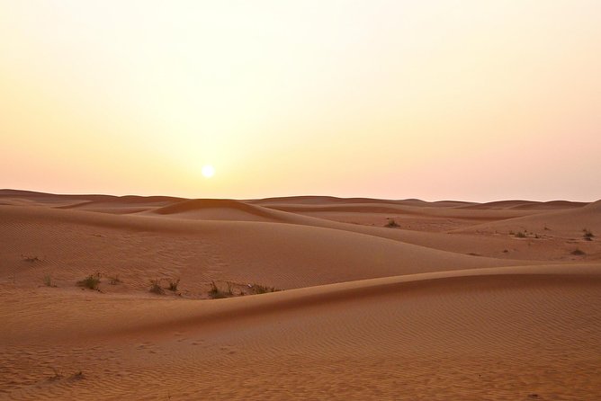 Premium Red Dunes Safari and Camel Safari with BBQ Dinner - Sunset Views and the Desert Pace: Why the Timing Matters
