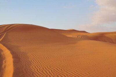 Premium Red Dunes Safari and Camel Safari with BBQ Dinner - The 4x4 Dune Bashing Run: Fast, Fun, and a Bit Rough