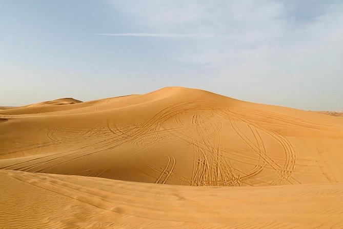 Premium Red Dunes Safari and Camel Safari with BBQ Dinner - Logistics That Matter: Group Size, Transfers, and Weather