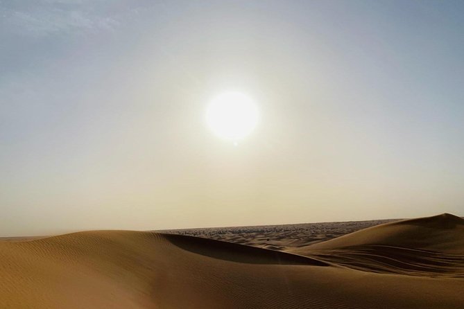 Premium Red Dunes Safari and Camel Safari with BBQ Dinner - Who This Desert Safari Fits Best