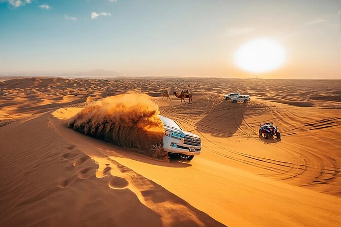 Private 4Hours Red Dunes Safari Camel Ride ,Falcon & Dune Thrills - Pickup in a luxury 4x4: start comfortable, not stressed