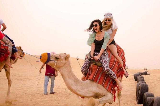 Private 4Hours Red Dunes Safari Camel Ride ,Falcon & Dune Thrills - Photo stop plus falcon on your arm: the moment people remember