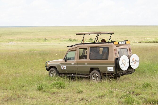Private 6-Day Great Migration Ndutu Serengeti Safari Tour - January Calving: What You’ll Want, and What You Should Keep Expectations Flexible About