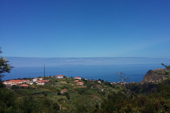 Private & Customizable Safari 4x4 Half-Day Shore Excursion - Why a half-day 4x4 safari is perfect from Funchal