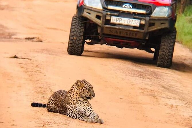 Private Day Tour from Colomb to Yala Safari (Leopard Safari Tour) - From Colombo to Yala: Why the 8:00am Start Matters