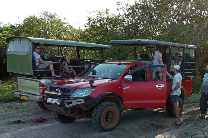 Private Day Tour from Colomb to Yala Safari (Leopard Safari Tour) - Yala National Park Safari: Leopard Odds and Real-World Expectations