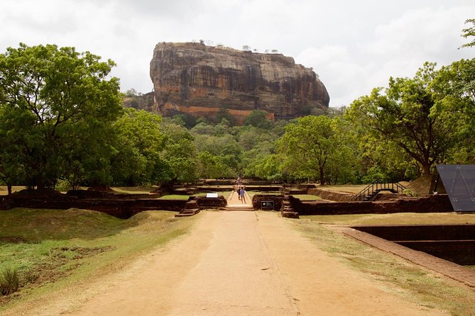 Private Day Trip to Sigiriya, cave and National park Safari Tour - Minneriya National Park safari: elephants, time, and why patience is part of the ticket
