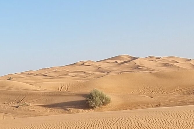 Private Desert Safari in Dubai with Pickup - Optional Quad Bikes and Buggy Rides: The Extras You Should Budget For