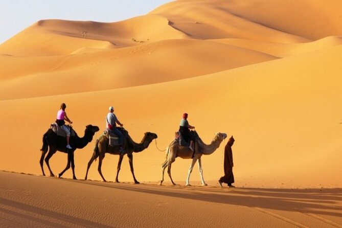 Private Desert Safari in Dubai with Pickup - Dune Bashing in a New 4x4: Comfort and Thrill Without Chaos