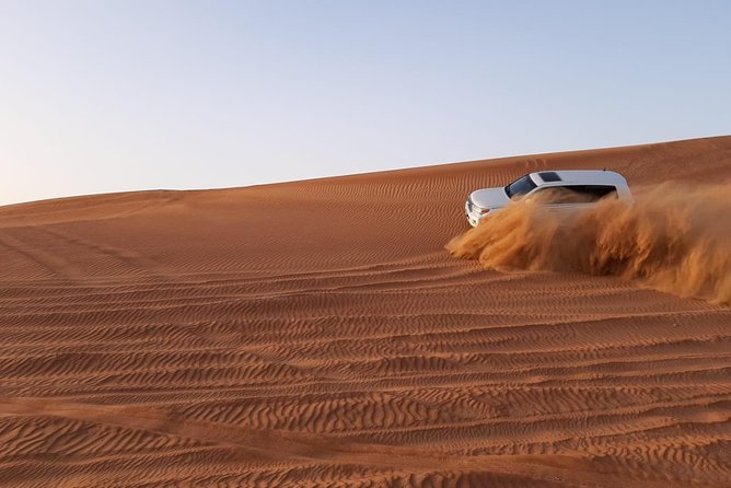 Private Desert Safari Red Dune with BBQ, Sand Boarding and Camel Ride - Camel farm visit and a camel ride that breaks up the adrenaline